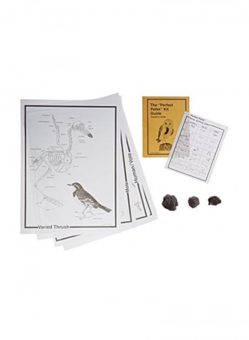 8-Piece Classroom Kit White/Silver/Brown
