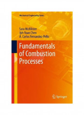 Fundamentals Of Combustion Processes Hardcover English by Sara McAllister