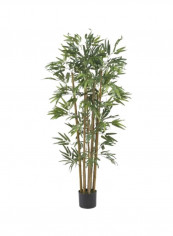 Multi Bambusa Bamboo Silk Tree Green/Brown 4feet reviews Multi Bambusa Bamboo Silk Tree Green/Brown 4feet