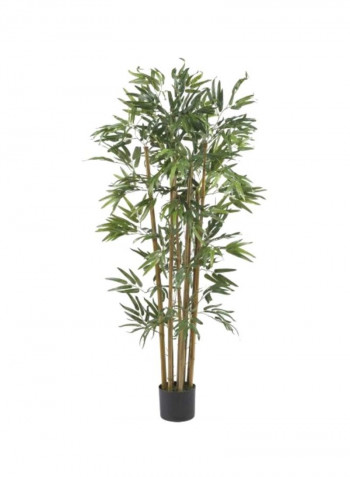 Multi Bambusa Bamboo Silk Tree Green/Brown 4feet