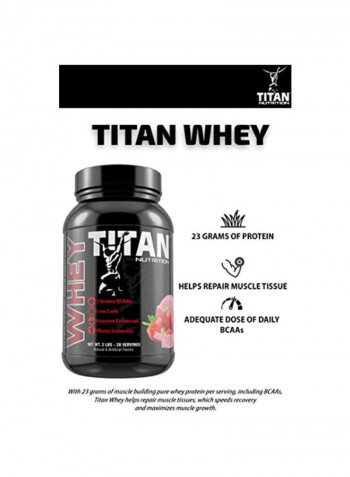 Whey Protein Powder