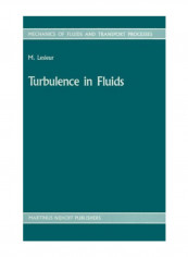 Turbulence in Fluids Paperback