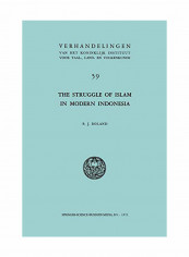 The Struggle Of Islam In Modern Indonesia Paperback