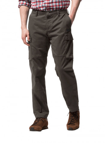 Arctic Road Cargo Pants Brown Stone