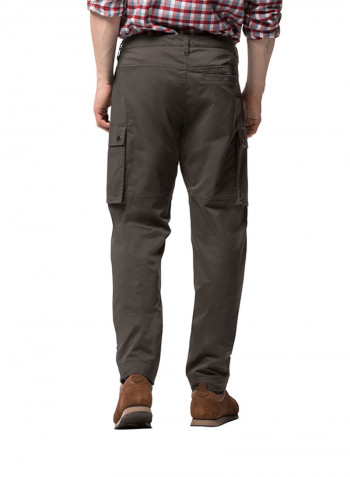 Arctic Road Cargo Pants Brown Stone