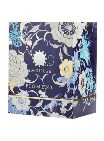 Figment EDP 100ml