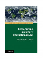 Reexamining Customary International Law Hardcover