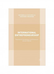 International Entrepreneurship: Theoretical Foundations And Practices Paperback 2