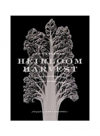 Heirloom Harvest : Modern Daguerreotypes Of Historic Garden Treasures Hardcover