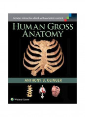 Human Gross Anatomy Paperback reviews Human Gross Anatomy Paperback