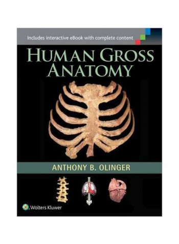 Human Gross Anatomy Paperback