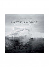 Francesco Bosso: Last Diamonds Hardcover reviews Francesco Bosso: Last Diamonds Hardcover