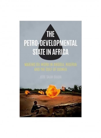 The Petro-developmental State In Africa : Making Oil Work In Angola, Nigeria And The Gulf Of Guinea Hardcover