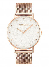 Women's Perry Water Resistance Stainless Steel Analog Watch 14503631