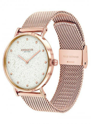 Women's Perry Water Resistance Stainless Steel Analog Watch 14503631