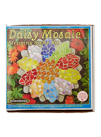 Daisy Stepping Stone Kit Multicolour