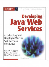 Developing Java Web Services: Architecting And Developing Secure Web Services Using Java Paperback