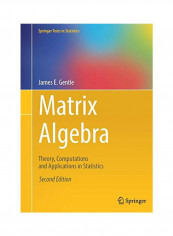 Matrix Algebra Paperback 2