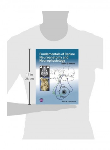 Fundamentals Of Canine Neuroanatomy And Neurophysiology Paperback English by Etsuro E. Uemura