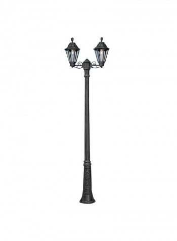 Double Head Outdoor Floor Lamp Black 690x2500millimeter