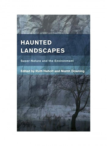Haunted Landscapes Hardcover English by Ruth Heholt