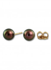 18 Karat Yellow Gold Freshwater Pearl Stud Earrings