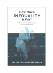 How Much Inequality Is Fair? : Mathematical Principles Of A Moral, Optimal, And Stable Capitalist Society Hardcover