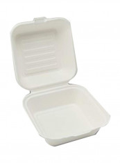 Pack Of 250 Compostable Hinged Container White 6.3x3x6.1inch reviews Pack Of 250 Compostable Hinged Container White 6.3x3x6.1inch