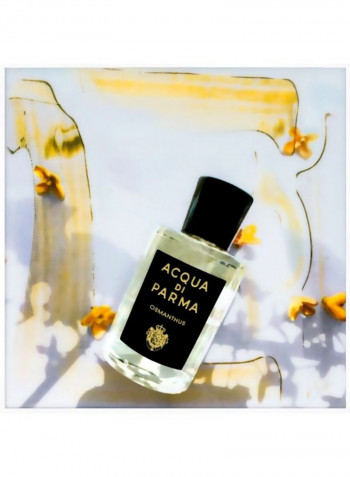 Signature Osmanthus EDP 180ml
