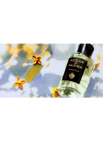 Signature Osmanthus EDP 180ml