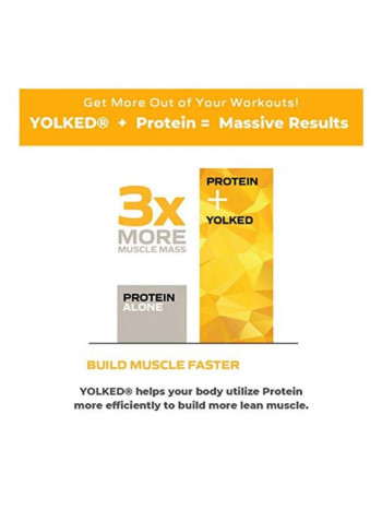 Vanilla Muscle Mass Enhancer