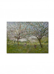 Trees In Flower Canvas Wall Art multicolour 24 x 32inch