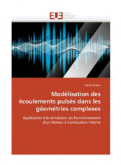 Modelisation Des Ecoulements Pulses Dans Les Geometries Complexes Paperback