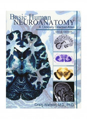 Basic Human Neuroanatomy: A Clinically Oriented Atlas Paperback English by Craig Watson