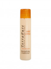 Pack Of 125 Wild Citrus Revitalizing Conditioner Set 1ounce