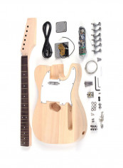 Electric Guitar Kit