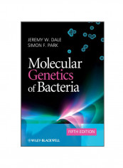 Molecular Genetics Of Bacteria Paperback