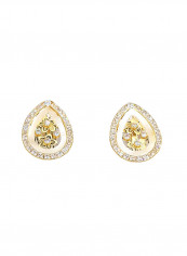 18 Karat Gold Earrings