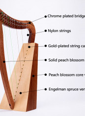 15 String Instruments A Small Harp lyre