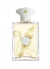 Bracken EDP 100ml