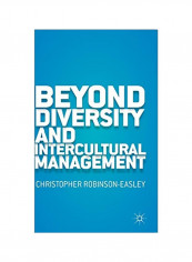 Beyond Diversity And Intercultural Management Hardcover