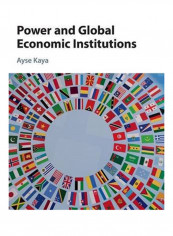 Power And Global Economic Institutions Hardcover reviews Power And Global Economic Institutions Hardcover