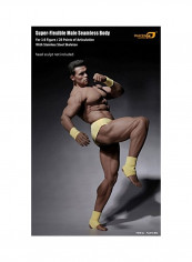Muscular Seamless Body Action Figure PL2016-M34 reviews Muscular Seamless Body Action Figure PL2016-M34