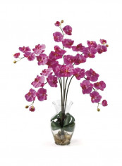 Phalaenopsis Liquid Illusion Artificial Flower Dark Pink/Green
