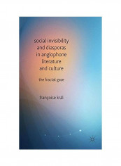 Social Invisibility And Diasporas In Anglophone Literature And Culture Hardcover