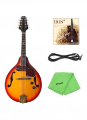 Adjustable Electric Mandolin With 8-Strings reviews Adjustable Electric Mandolin With 8-Strings