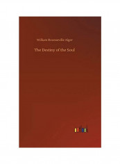 The Destiny Of The Soul Hardcover English by William Rounseville Alger