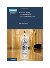Judicial Acts And Investment Treaty Arbitration Hardcover