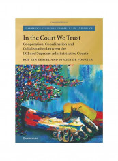 In The Court We Trust Hardcover