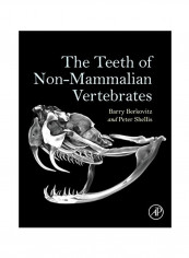 The Teeth Of Non Mammalian Vertebrates Hardcover 1